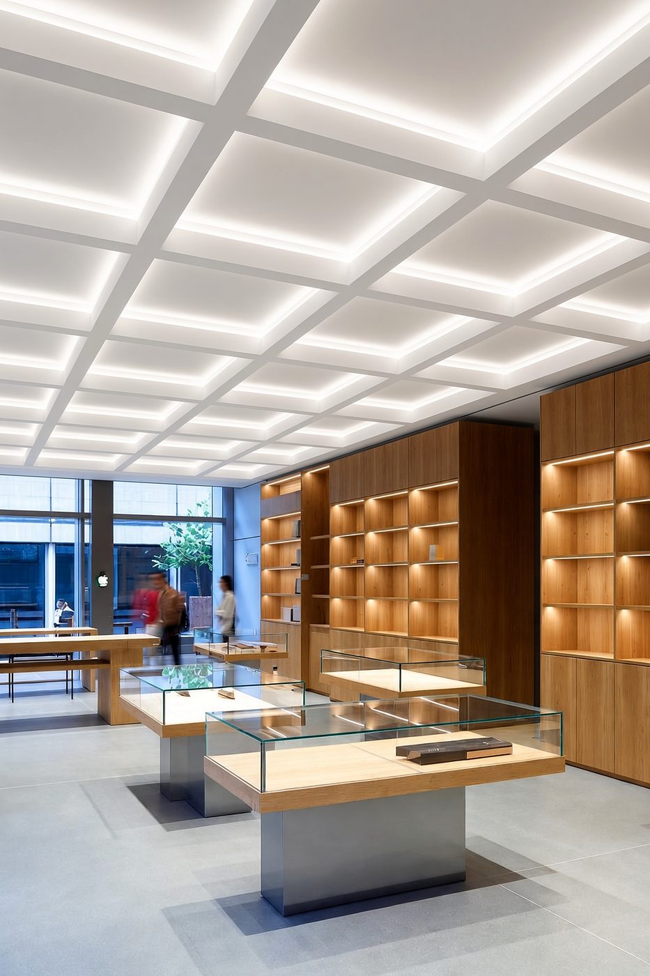 Design rendering of Display Cabinetry: lit oak shelving and vitrines